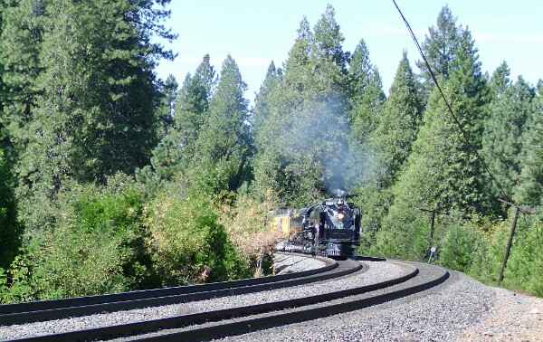 UP844&nbsp;&lpar;4-8-4&rpar;