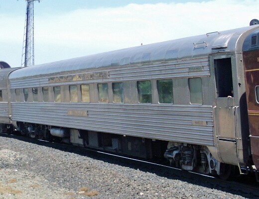 PPCX800237 Palm Leaf