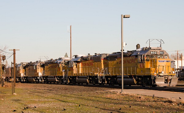 UP602&nbsp;&lpar;GP38N&rpar; - UP600&nbsp;&lpar;GP38N&rpar;- UP590&nbsp;&lpar;GP38N&rpar; - UP585&nbsp;&lpar;GP38N&rpar; - UP566&nbsp;&lpar;GP38N&rpar;