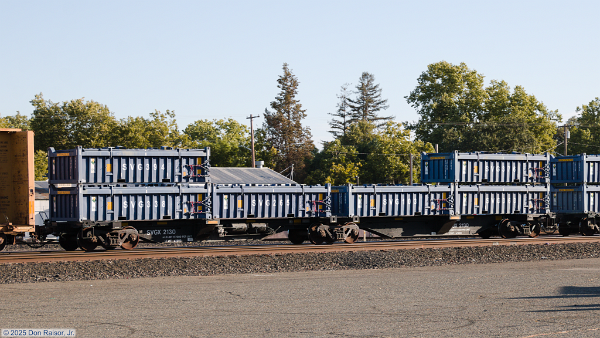 Articulated Spine Car&nbsp;SVGX2130